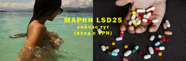 прущие грибы Алзамай