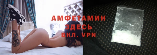 прущие грибы Алзамай