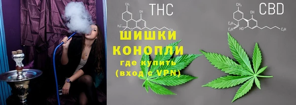 прущие грибы Алзамай