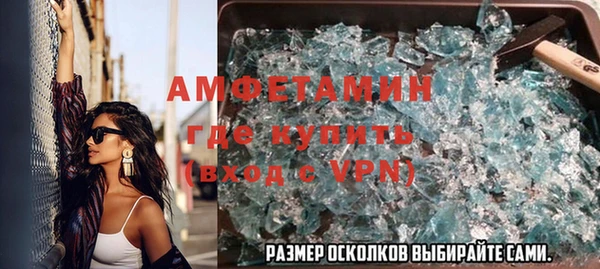 прущие грибы Алзамай