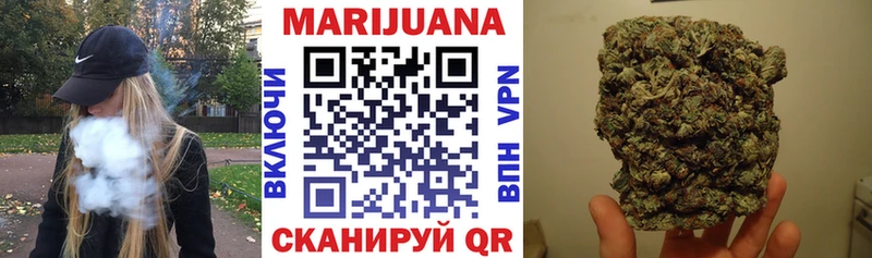 Конопля гибрид  Бакал 